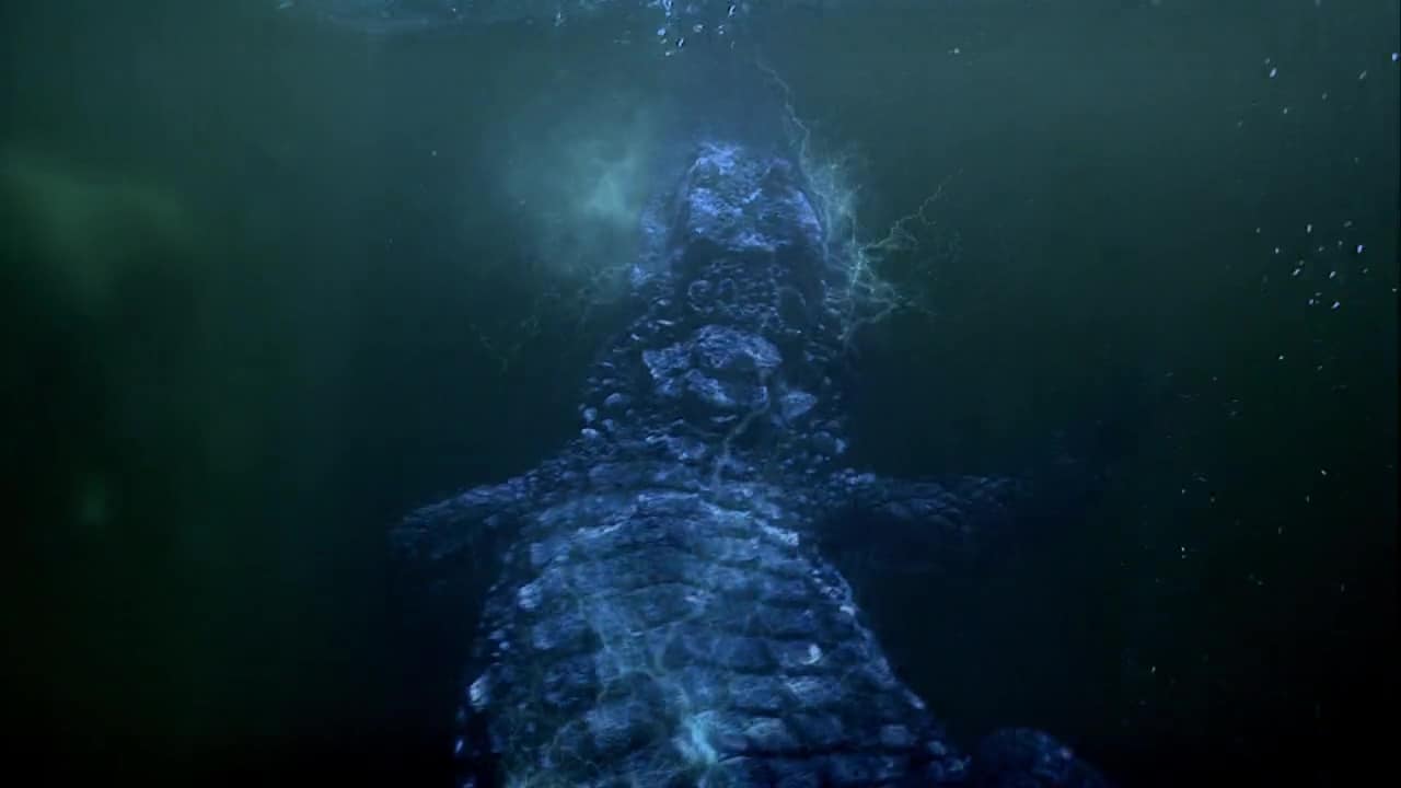 Croc (2007) Croc (2007)