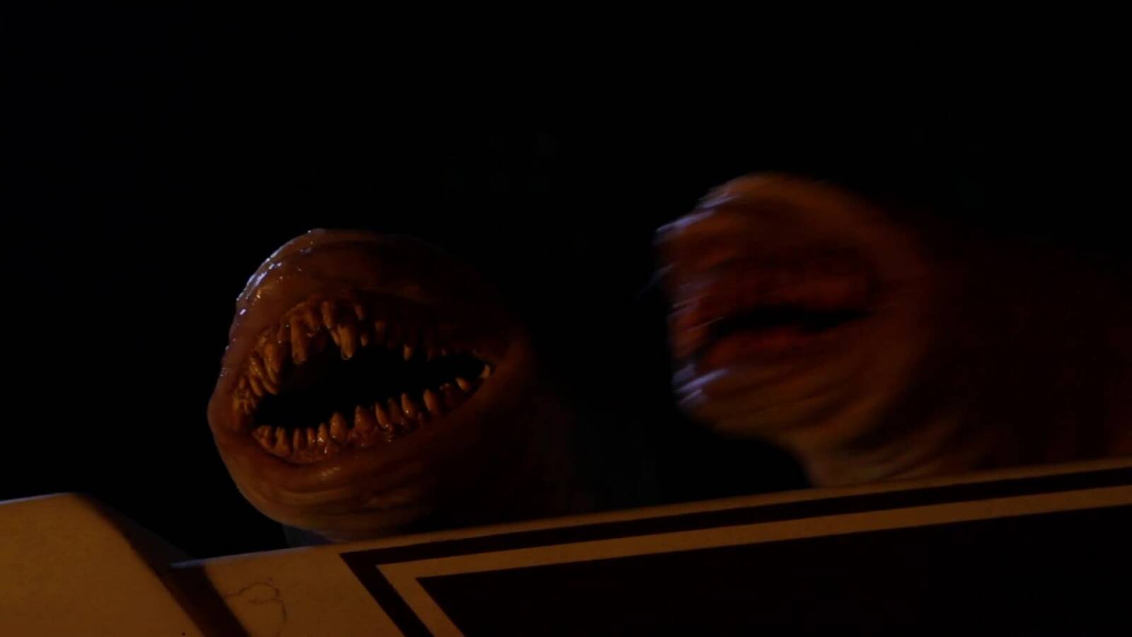 Maggots (2019) Maggots (2019)