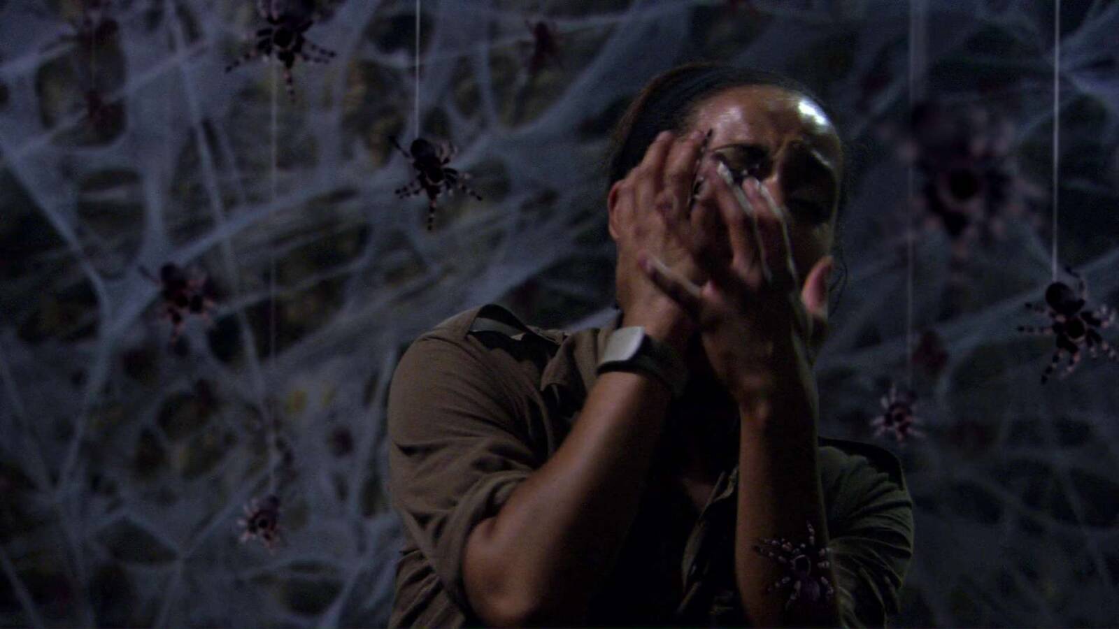 In the Spider's Web (2007) In the Spider's Web (2007)