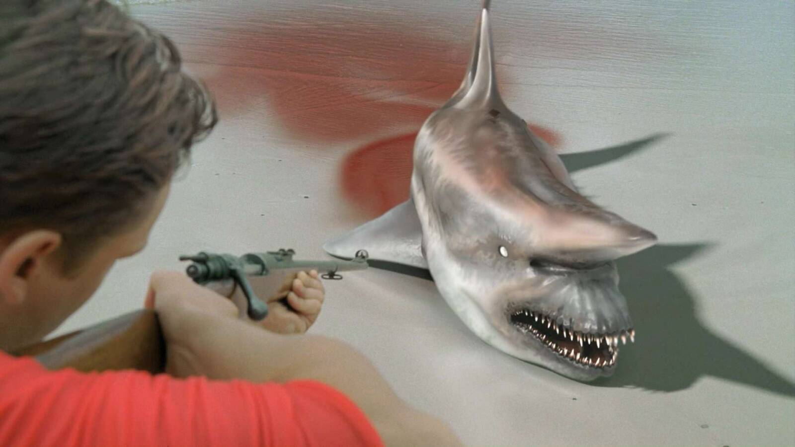 Malibu Shark Attack (2009) Malibu Shark Attack (2009)