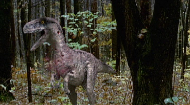 Raptor Island (2004) Raptor Island (2004)