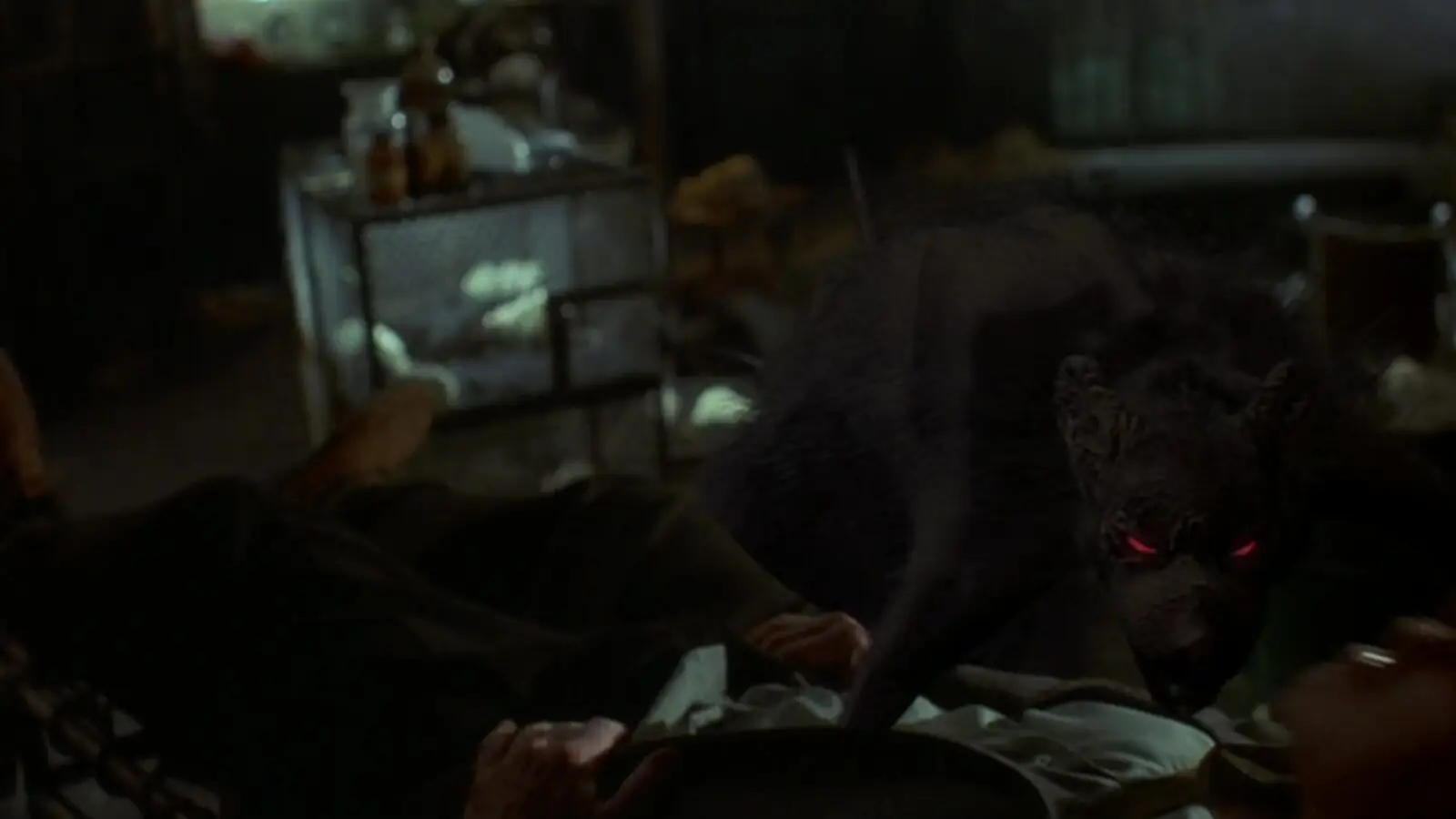 Killer Rats (2003) Killer Rats (2003)