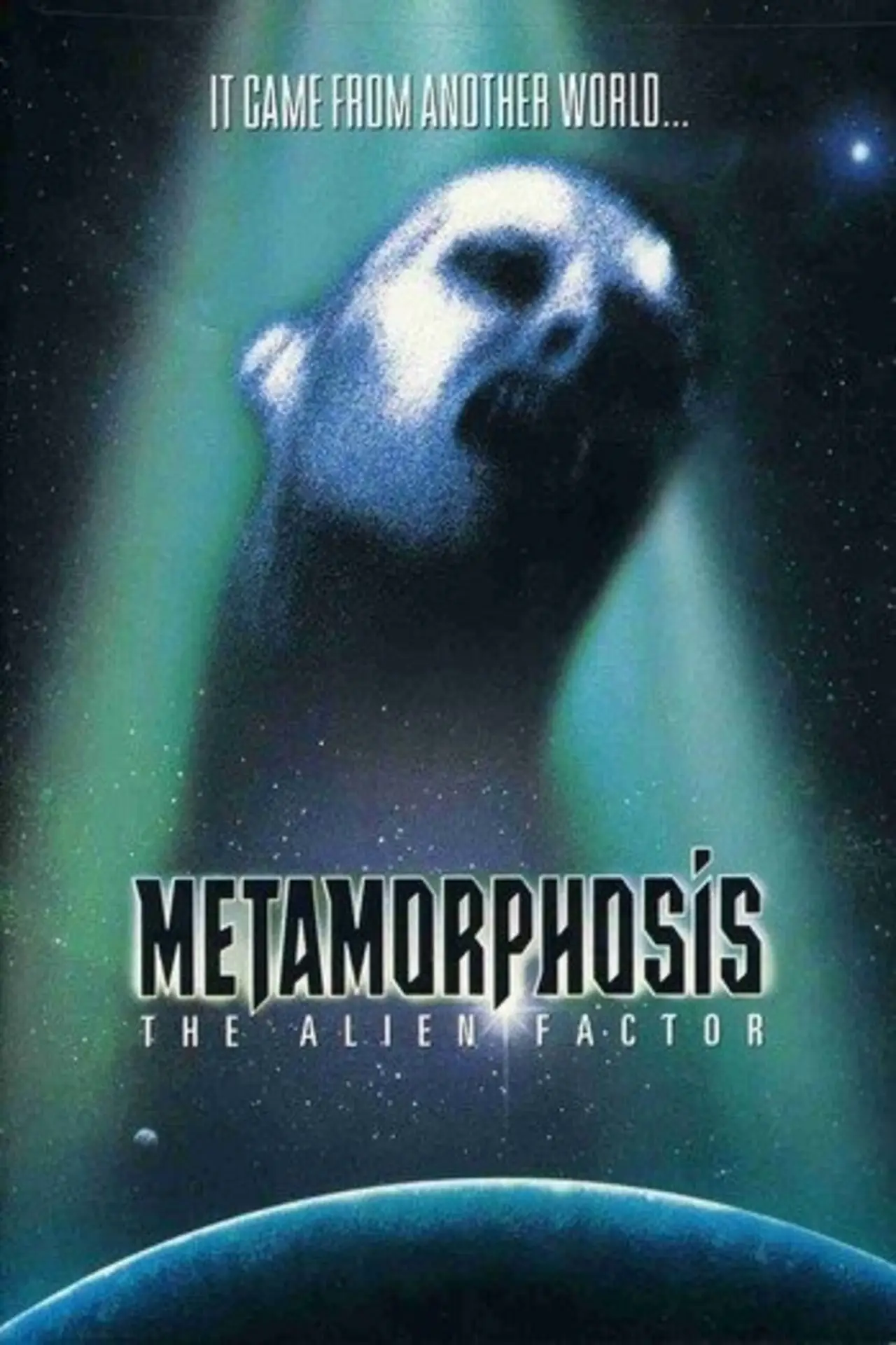 Movie Reviews