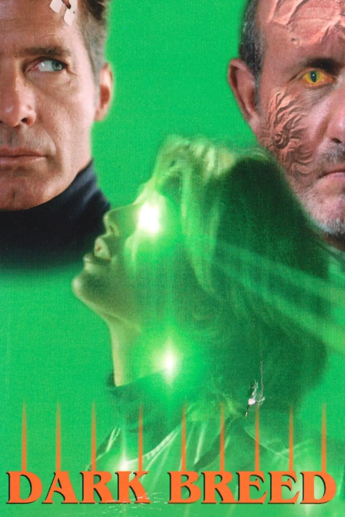 stefán birgir stefáns