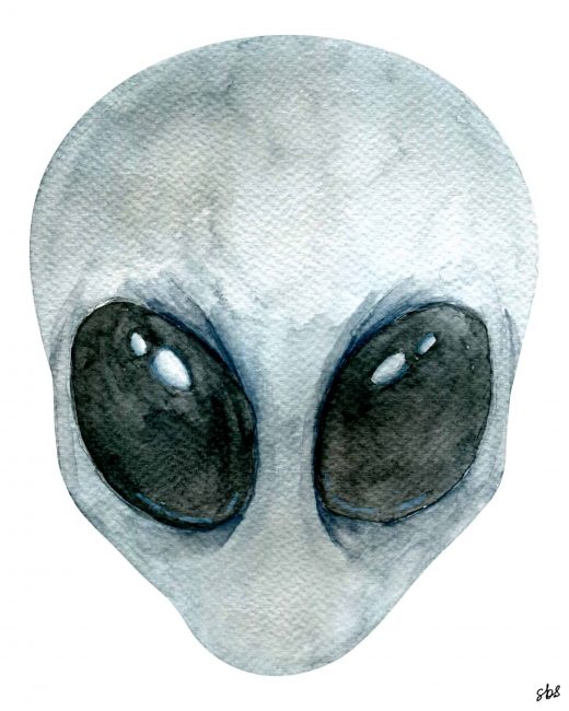 The Grey Alien