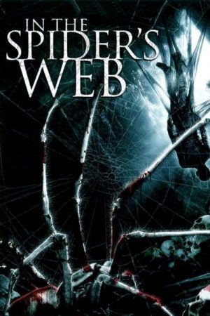 In the Spider’s Web (2007)